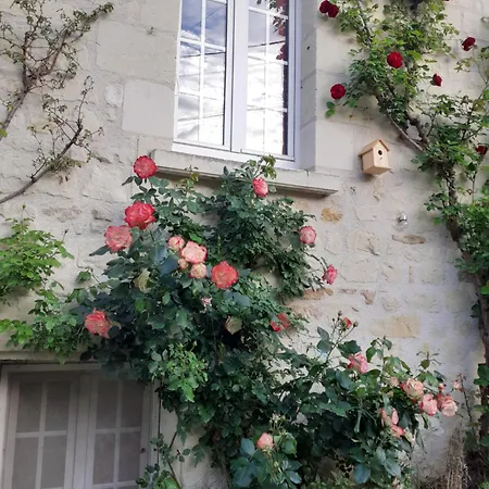 Esprit Troglo Villa Beaumont-en-Veron Exterior photo